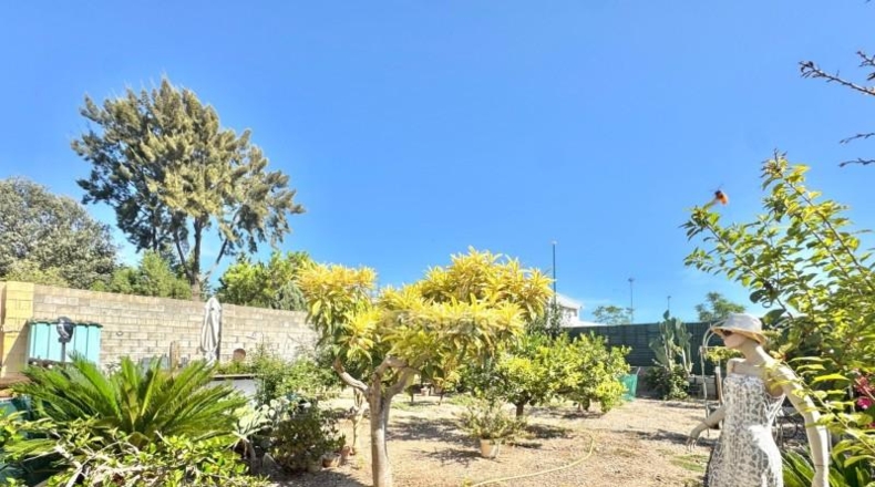 Castellón - Almenara - 236m2