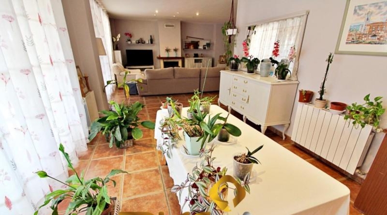 Castellón - Castellón de la Plana - 3550m2