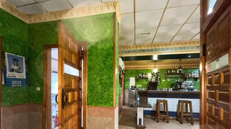 Granada - Cozvíjar - 850m2