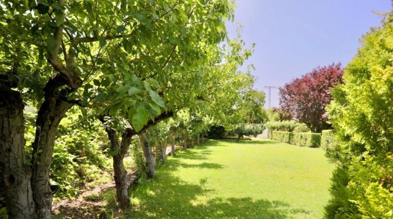 Alava - Berantevilla - 3255m2