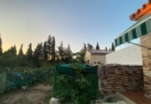 Xalet independent amb terreny en venda a la España, Chiclana de la Frontera, ref.: TR288506 foto