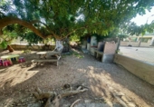 Casa de campo con terreno en venta en la España, Deltebre, ref: TR169579 foto