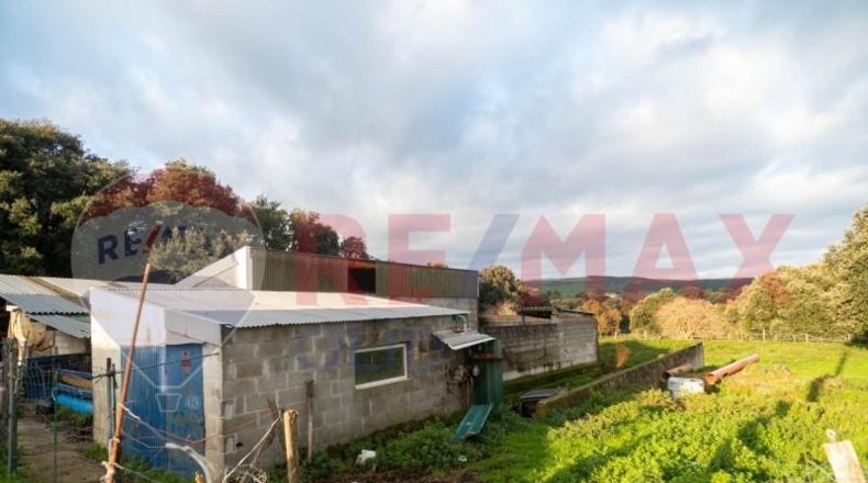 Cantabria - Bareyo - 4797m2