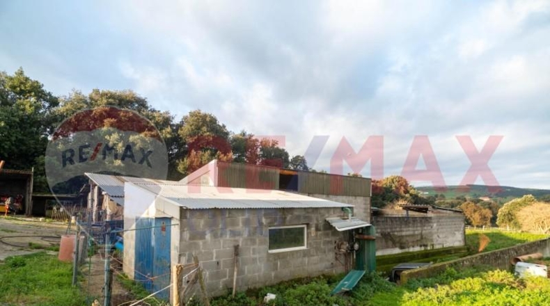 Cantabria - Bareyo - 4797m2