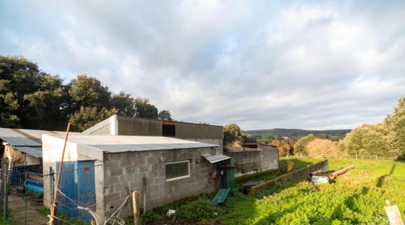 Cantabria - Bareyo - 4797m2