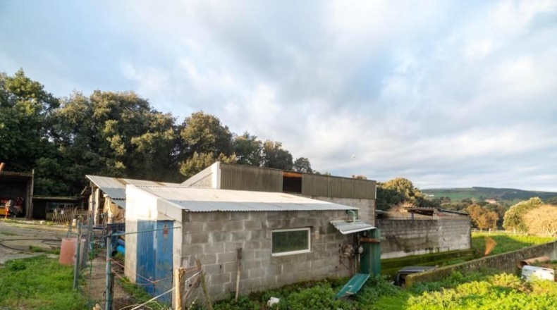 Cantabria - Bareyo - 4797m2