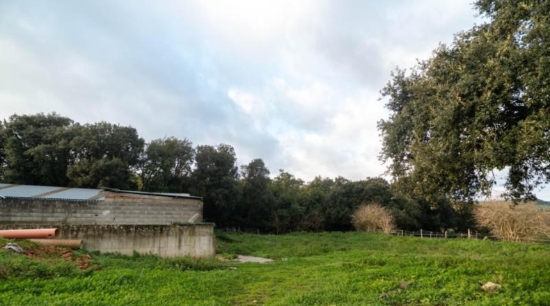 Cantabria - Bareyo - 4797m2