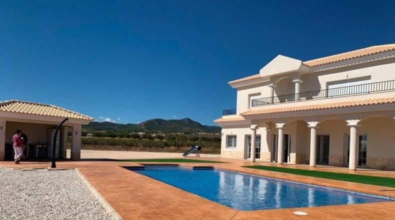 Alicante - Pinoso - 10000m2