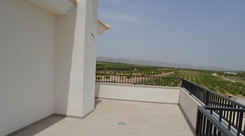 Alicante - Pinoso - 10000m2
