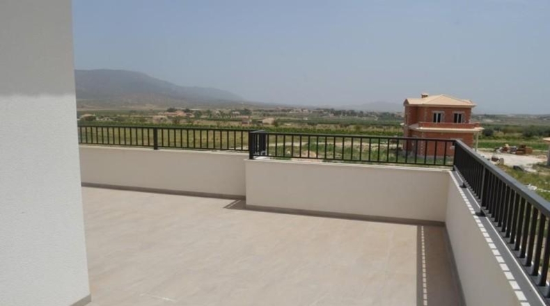 Alicante - Pinoso - 10000m2