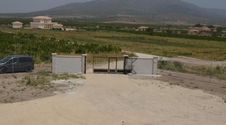 Alicante - Pinoso - 10000m2