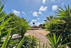 Foto 15