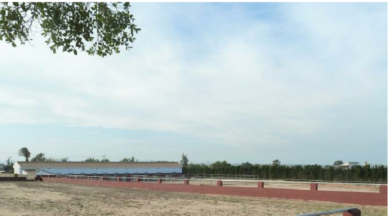 Alicante - San Miguel de Salinas - 10006m2