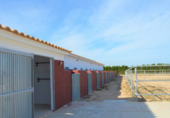 Xalet independent amb terreny en venda a la España, Sant Miquel de les Salines, ref.: TR281779 foto
