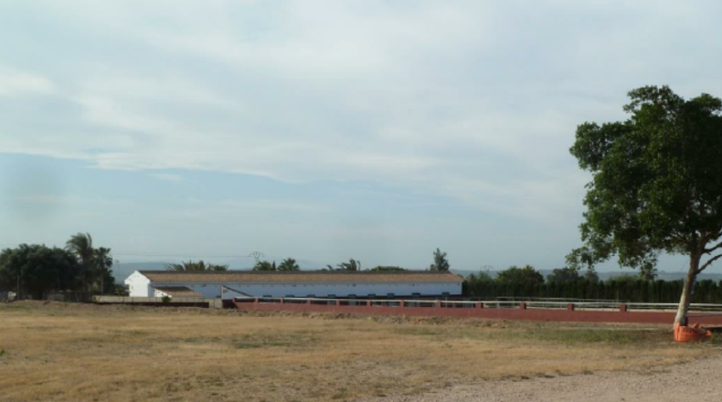 Alicante - San Miguel de Salinas - 10006m2