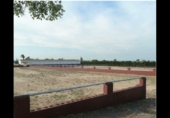 Non-developable land for sale on España, San Miguel de Salinas, ref: TR334225 photo