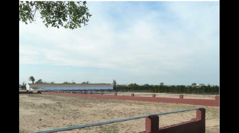 Alicante - San Miguel de Salinas - 10006m2