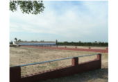 Non-developable land for sale on España, San Miguel de Salinas, ref: TR112999 photo