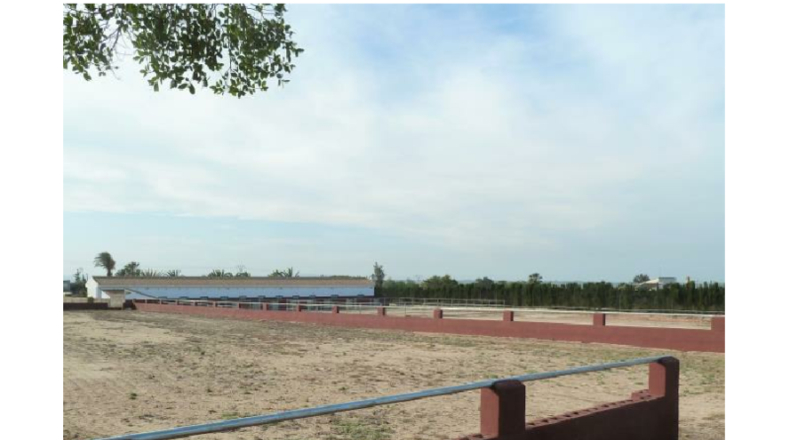 Alicante - San Miguel de Salinas - 10006m2