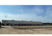 Non-developable land for sale on España, San Miguel de Salinas, ref: TR112999 photo