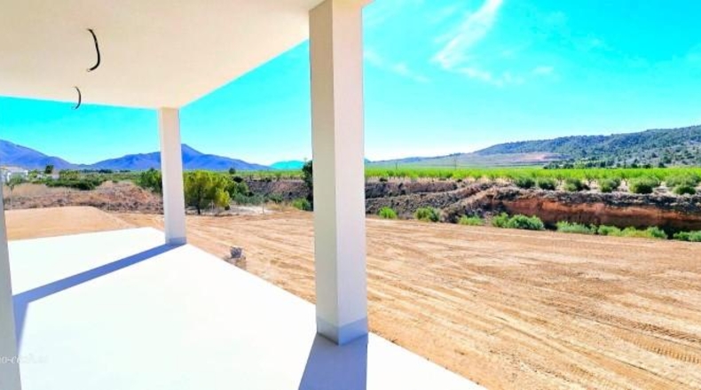Murcia - Favanella - 6000m2