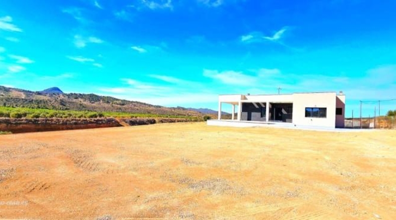 Murcia - Favanella - 6000m2