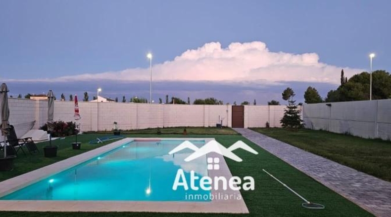 Albacete - Albacete - 1000m2