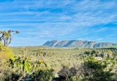 Casa de camp amb terreny en venda a la España, Antequera, ref.: TR228107 foto