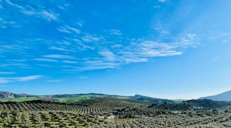 Malaga - Antequera - 111m2