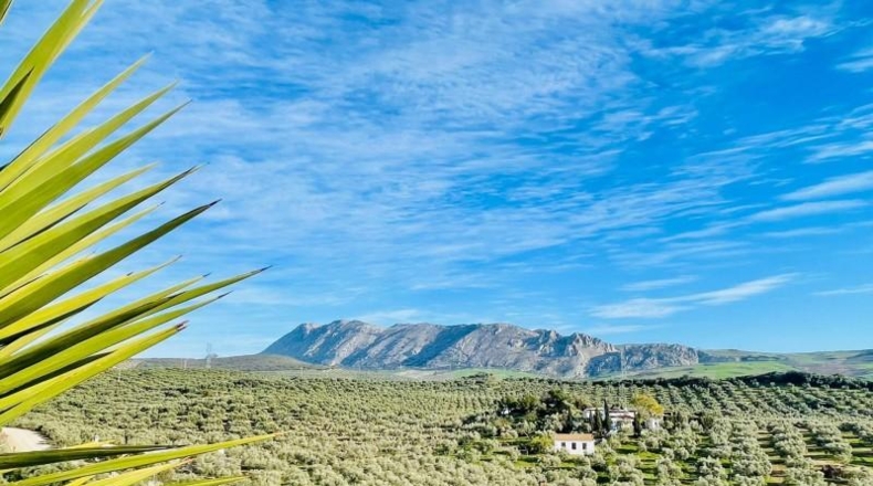 Malaga - Antequera - 111m2