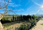Casa de camp amb terreny en venda a la España, Antequera, ref.: TR228107 foto