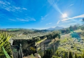 Casa de camp amb terreny en venda a la España, Antequera, ref.: TR228107 foto