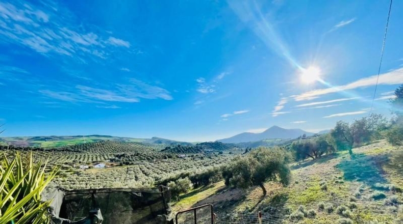 Malaga - Antequera - 111m2