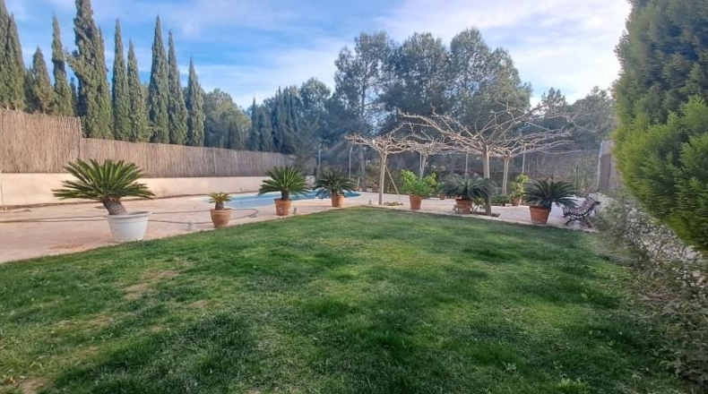 Murcia - Molina de Segura - 560m2