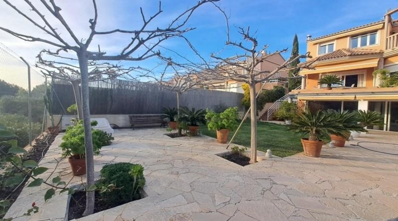 Murcia - Molina de Segura - 560m2
