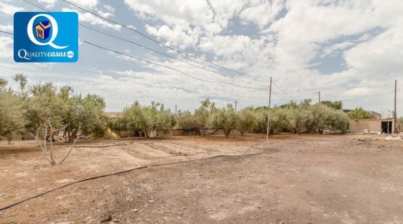 Alicante - la Vila Joiosa - 3200m2