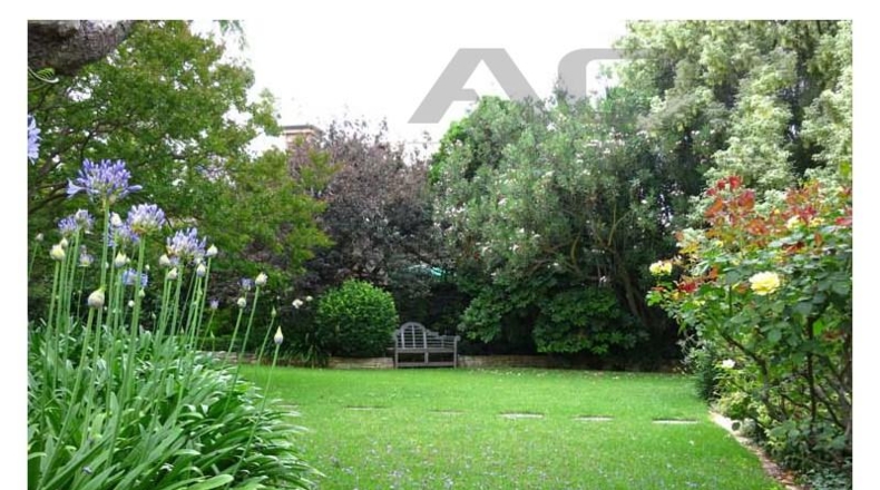 Pontevedra - Vigo - 700m2