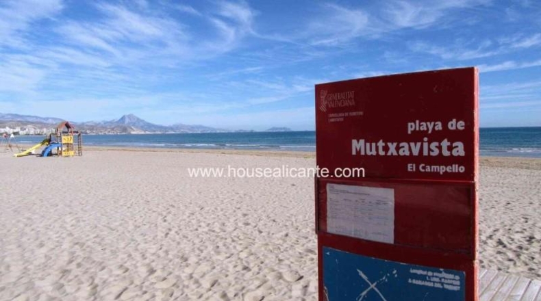 Alicante - Muchamiel - 345m2