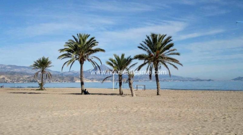 Alicante - Muchamiel - 345m2
