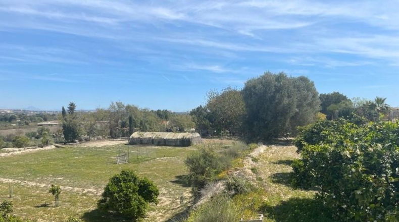 Alicante - Rojales - 10000m2