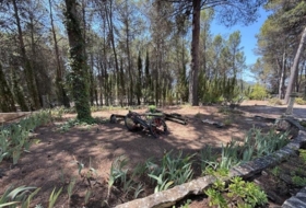 Foto 6