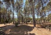 Finca rústica en venda a la España, Alcoi, ref.: TR316960 foto