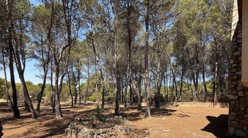 Alicante - Alcoy - 3760m2