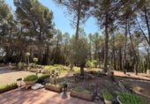 Finca rústica en venda a la España, Alcoi, ref.: TR316960 foto