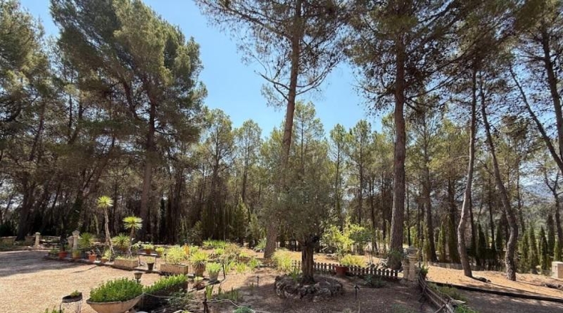 Alicante - Alcoy - 3760m2