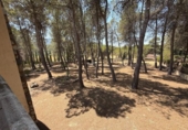 Finca rústica en venda a la España, Alcoi, ref.: TR316960 foto