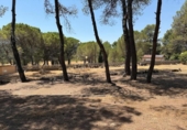 Finca rústica en venda a la España, Alcoi, ref.: TR316960 foto