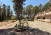 Finca rústica en venda a la España, Alcoi, ref.: TR316960 foto