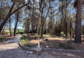 Finca rústica en venda a la España, Alcoi, ref.: TR316960 foto