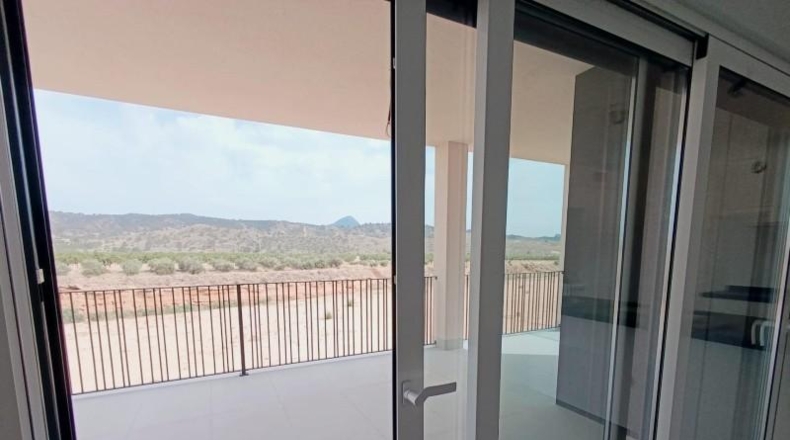Murcia - Abanilla - 8290m2